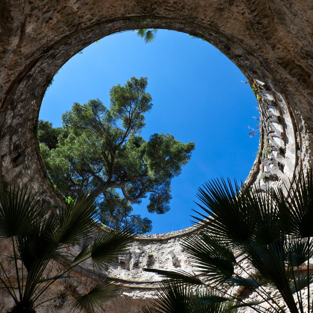 Looking upward through a circular opening in an ancient Roman ruin on the Amalfi Coast, with a Mediterranean stone pine framed against the sky