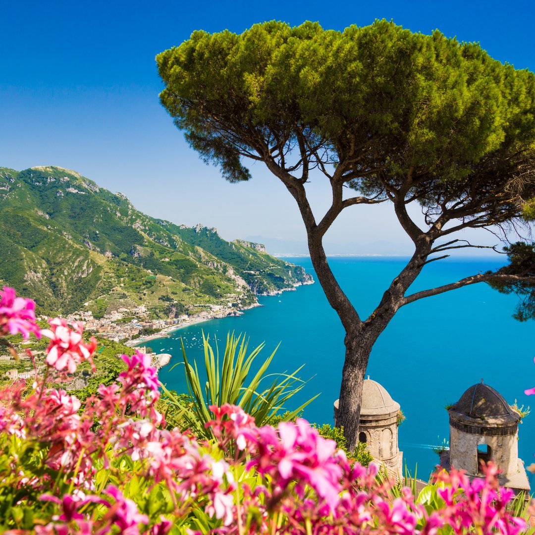 View from a hillside garden in Ravello with a Mediterranean stone pine framing the coast below and the Gulf of Salerno beyond